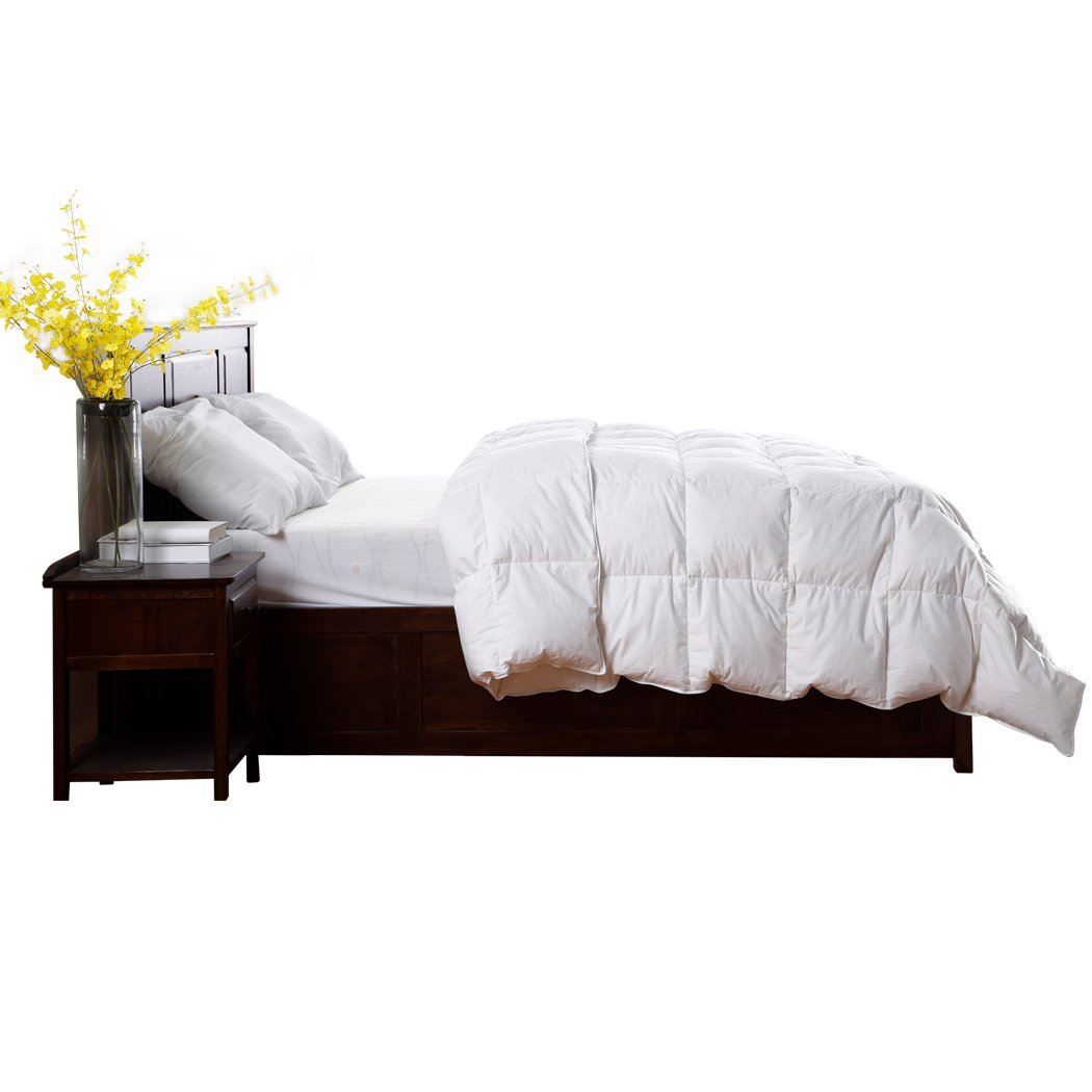 DreamZ 500GSM All Season Goose Down Feather Filling Duvet in Double